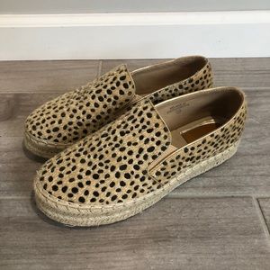 BELLA MARIE Cat Print Shoes | Size 7.5